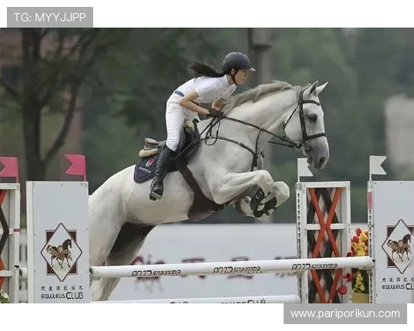 尊龙国际娱乐：丰富的优惠活动助力玩家赢取更多奖励