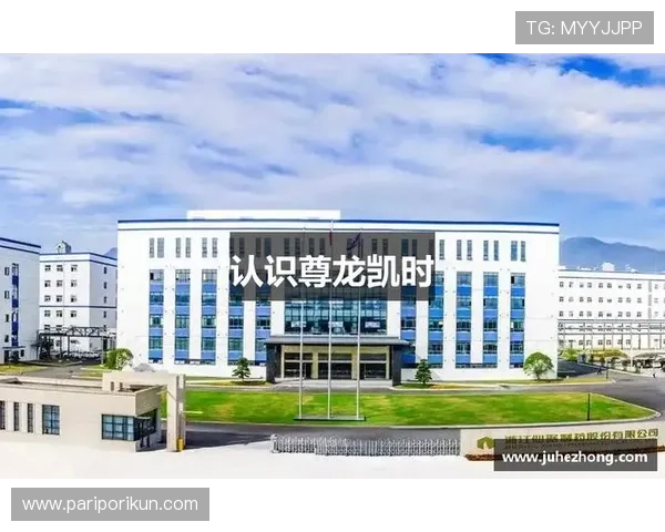 探索尊龙凯时备用平台的安全性及其优势解析