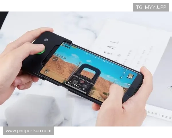 尊龙d88手机版ap玩家评价与反馈，帮助新手快速上手的实用建议