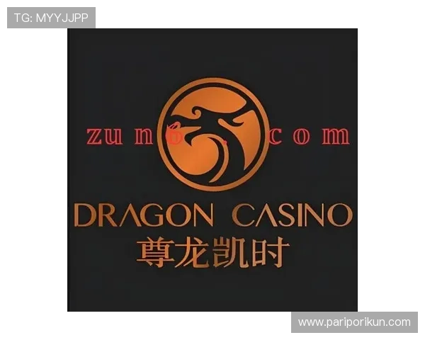 尊龙凯时人生就是博中国官网提供专业客服支持与常见问题解决方案指南